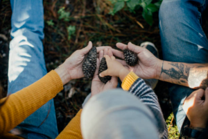 people holding pinecones