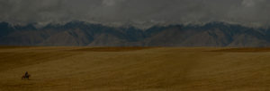 Country side and mountains and cowboy