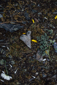 Rock in the ground shaped like a heart