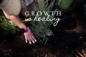 Growth is healthy description in front of planting shrubs