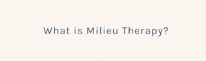 What is Milieu Therapy